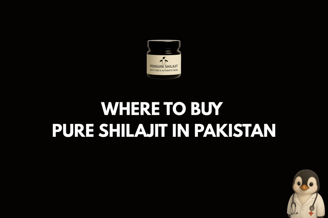 Where to Buy Pure Shilajit in Pakistan 2026 - Complete Buyer's Guide