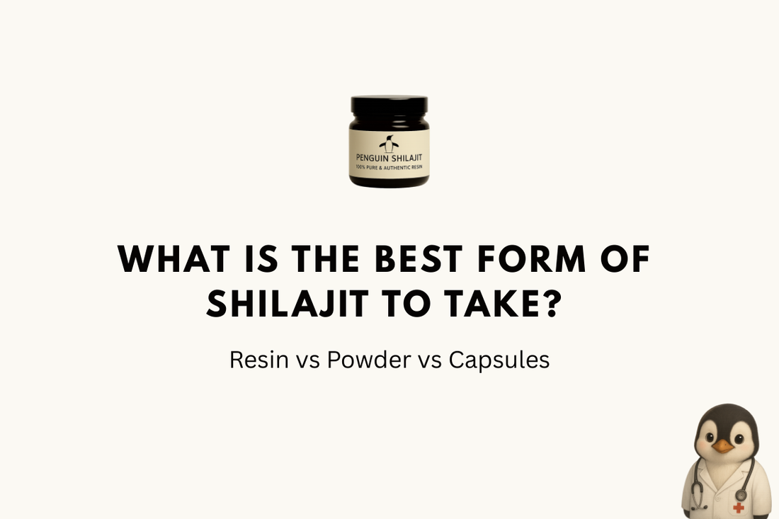 What Is the Best Form of Shilajit to Take? Resin vs Powder vs Capsules (2026)