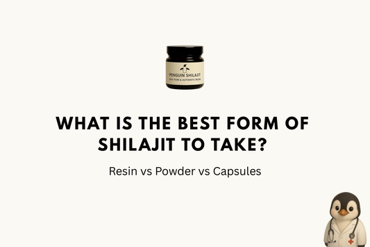 What Is the Best Form of Shilajit to Take? Resin vs Powder vs Capsules (2026)