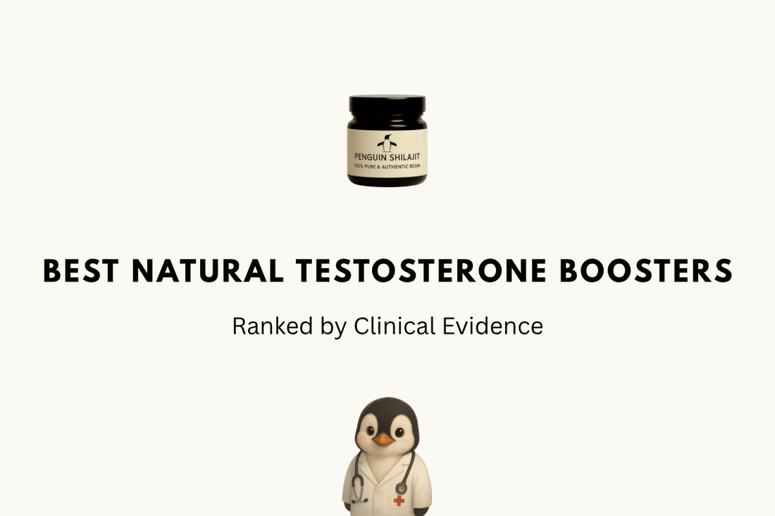 Best Natural Testosterone Boosters 2026: Ranked by Clinical Evidence