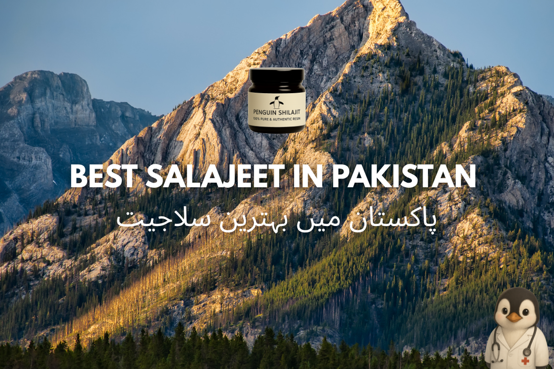 best salajeet in pakistan