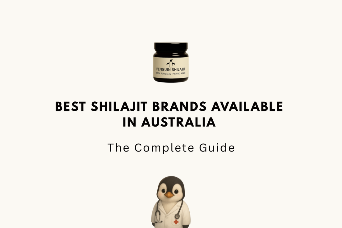 Best Shilajit Brands Available in Australia (2026)