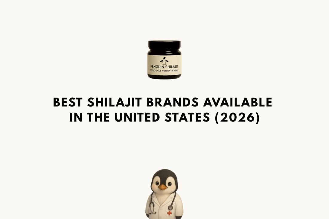 Best Shilajit Brands Available in the United States (2026)