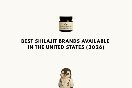 Best Shilajit Brands Available in the United States (2026)