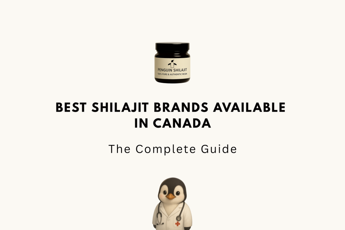Best Shilajit Brands Available in Canada (2026)