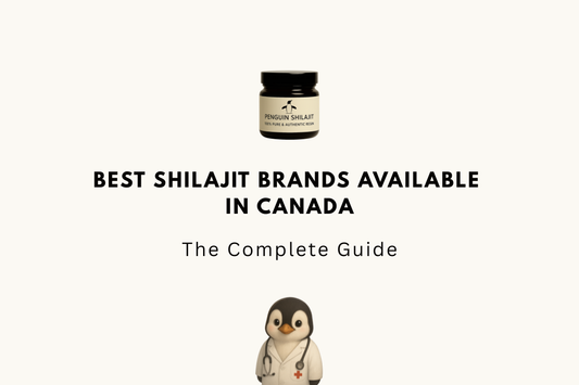 Best Shilajit Brands Available in Canada (2026)