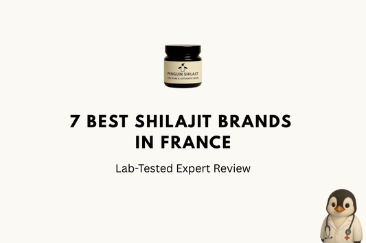 7 Best Shilajit Brands in France (2026): Lab-Tested Expert Review