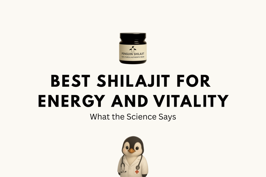 Best Shilajit for Energy and Vitality 2026: What the Science Says