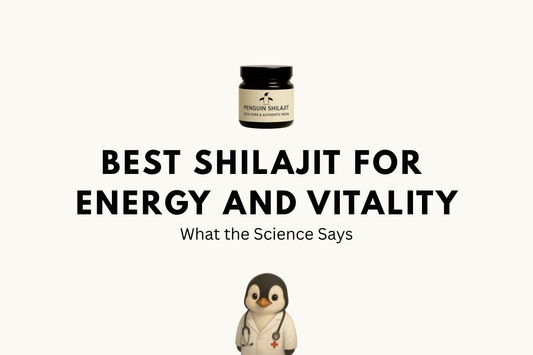 Best Shilajit for Energy and Vitality 2026: What the Science Says