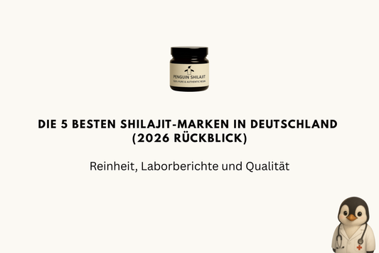 Die 5 besten Shilajit-Marken in Deutschland (2026 Rückblick): Reinheit, Laborberichte und Qualität