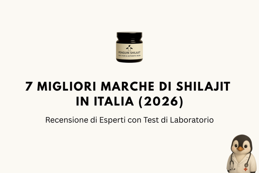 7 Migliori Marche di Shilajit in Italia (2026): Recensione di Esperti con Test di Laboratorio