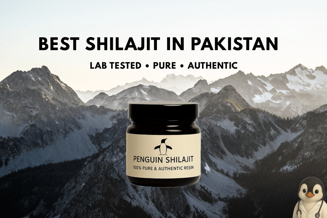 Best Shilajit in Pakistan – Tested for Purity & Heavy Metals - Penguin Shilajit