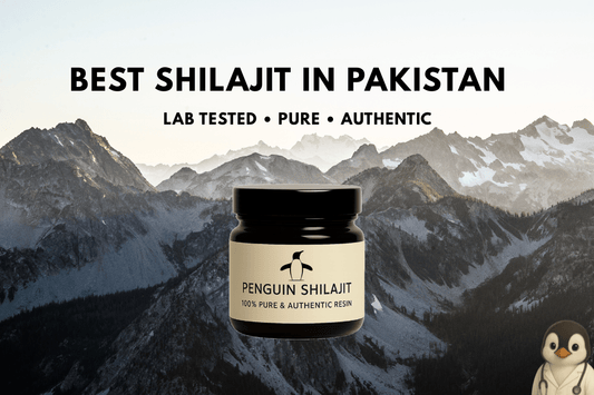 Best Shilajit in Pakistan – Tested for Purity & Heavy Metals - Penguin Shilajit