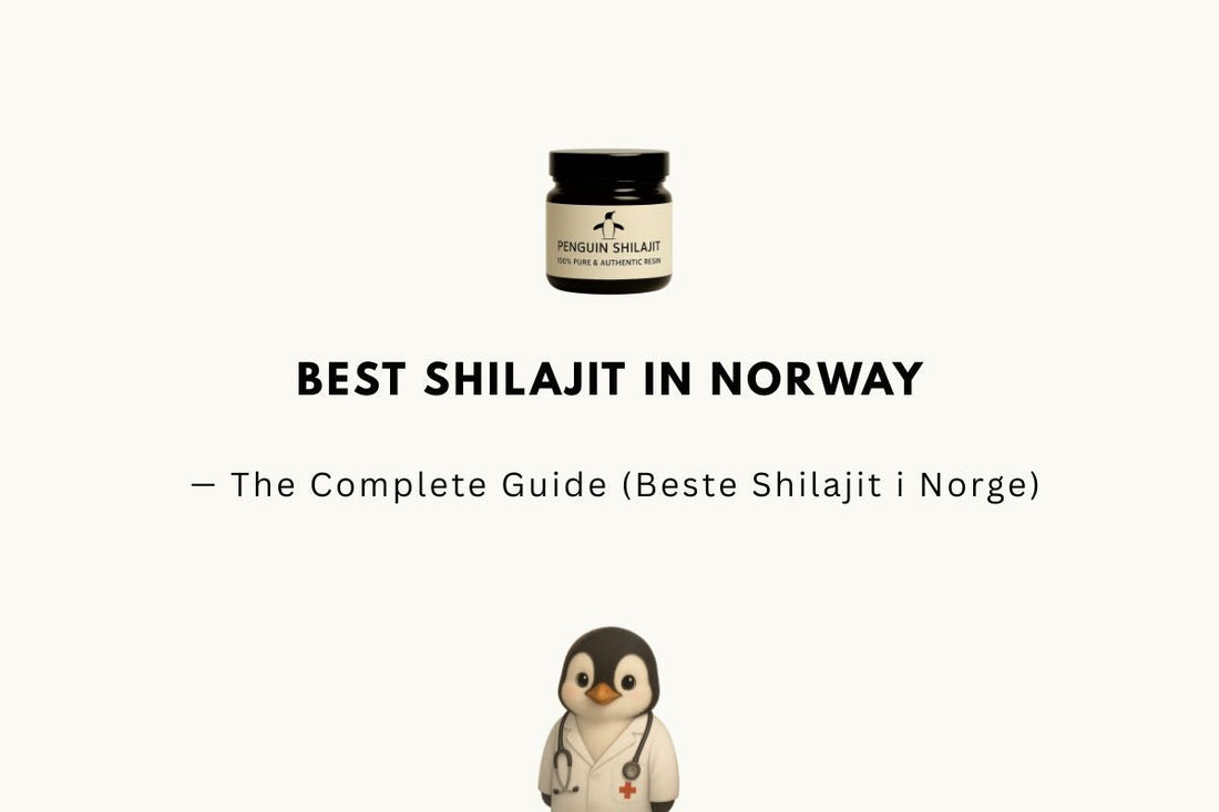Best Shilajit in Norway 2026 — The Complete Guide (Beste Shilajit i Norge)