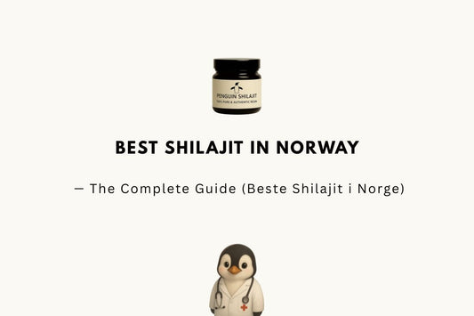 Best Shilajit in Norway 2026 — The Complete Guide (Beste Shilajit i Norge)