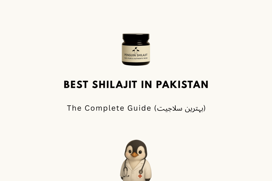 Best Shilajit in Pakistan 2026 — The Complete Guide (بہترین سلاجیت)