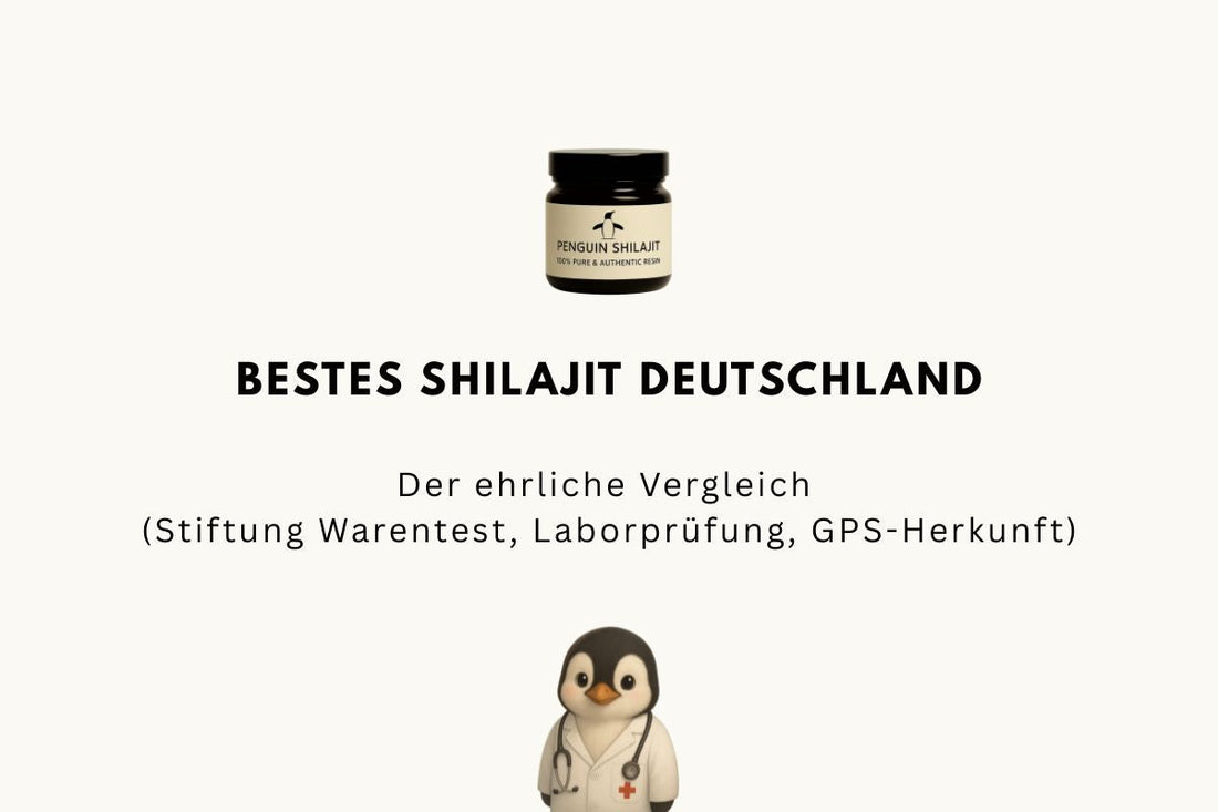 Bestes Shilajit Deutschland 2026 — Der ehrliche Vergleich (Stiftung Warentest, Laborprüfung, GPS-Herkunft)