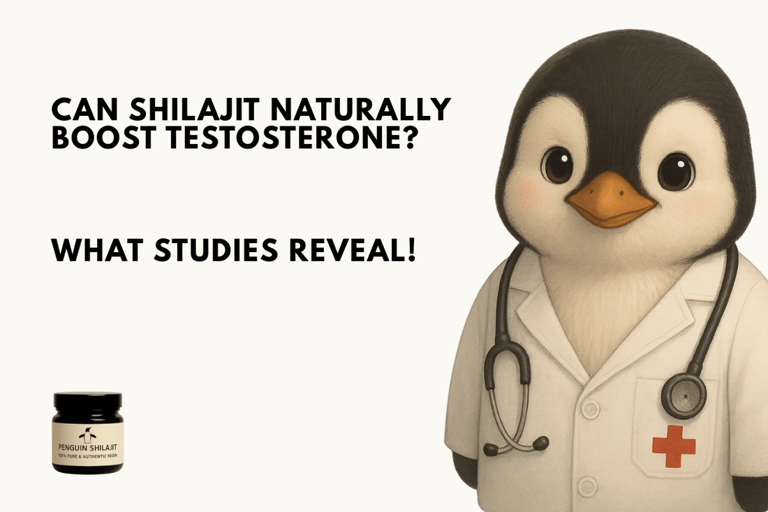Can Shilajit Naturally Boost Testosterone? What Studies Reveal - Penguin Shilajit