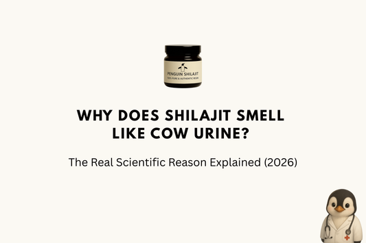 Why Does Shilajit Smell Like Cow Urine? The Real Scientific Reason Explained (2026)