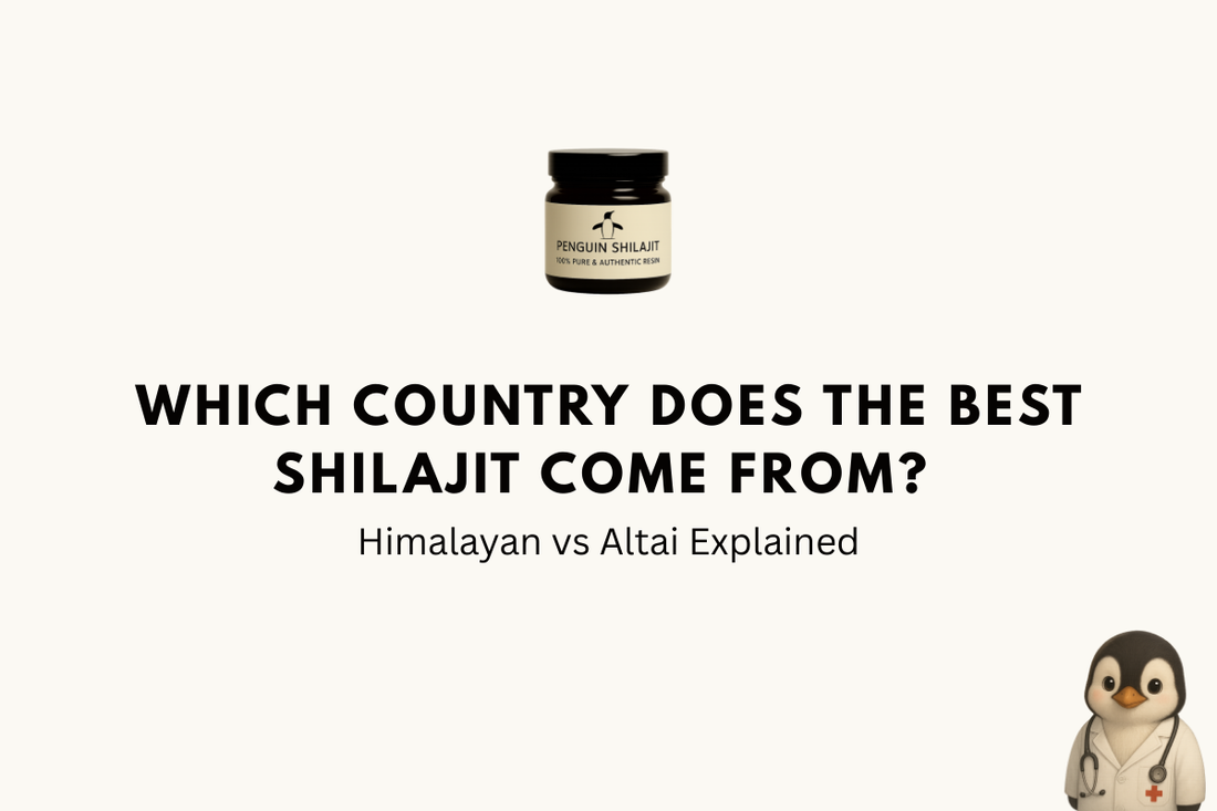 Which Country Does the Best Shilajit Come From? Himalayan vs Altai Explained