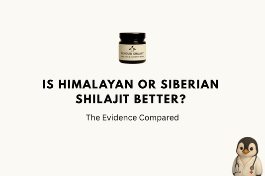 Is Himalayan or Siberian Shilajit Better? The Evidence Compared