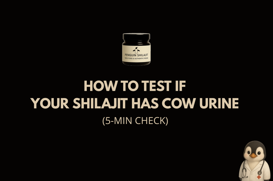 How to Test If Your Shilajit Has Cow Urine (5-Min Check)