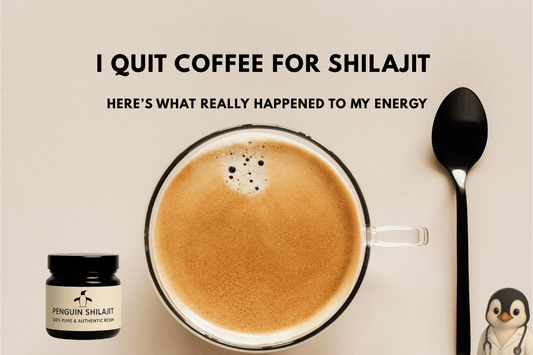 I Quit Coffee for Shilajit — Here’s What Really Happened to My Energy - Penguin Shilajit