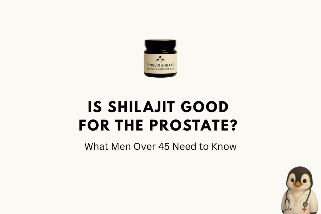 Is Shilajit Good for the Prostate? What Men Over 45 Need to Know