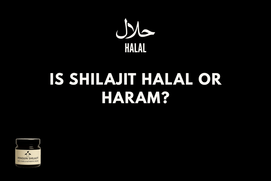 Is Shilajit Halal? The Truth About Shilajit - Penguin Shilajit
