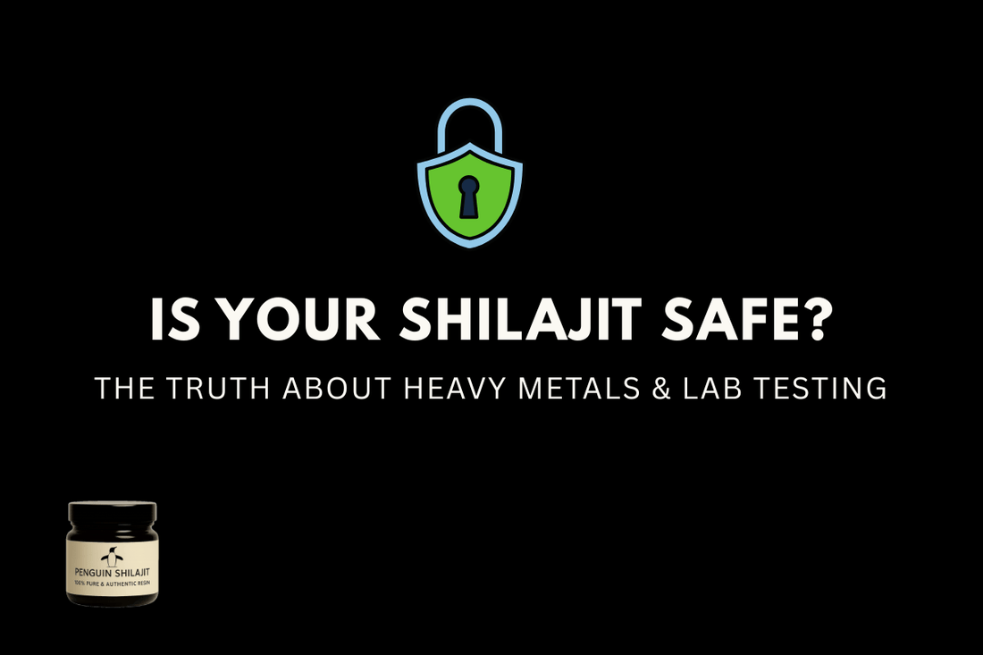 Is Your Shilajit Safe? The Truth About Heavy Metals and Lab Testing - Penguin Shilajit