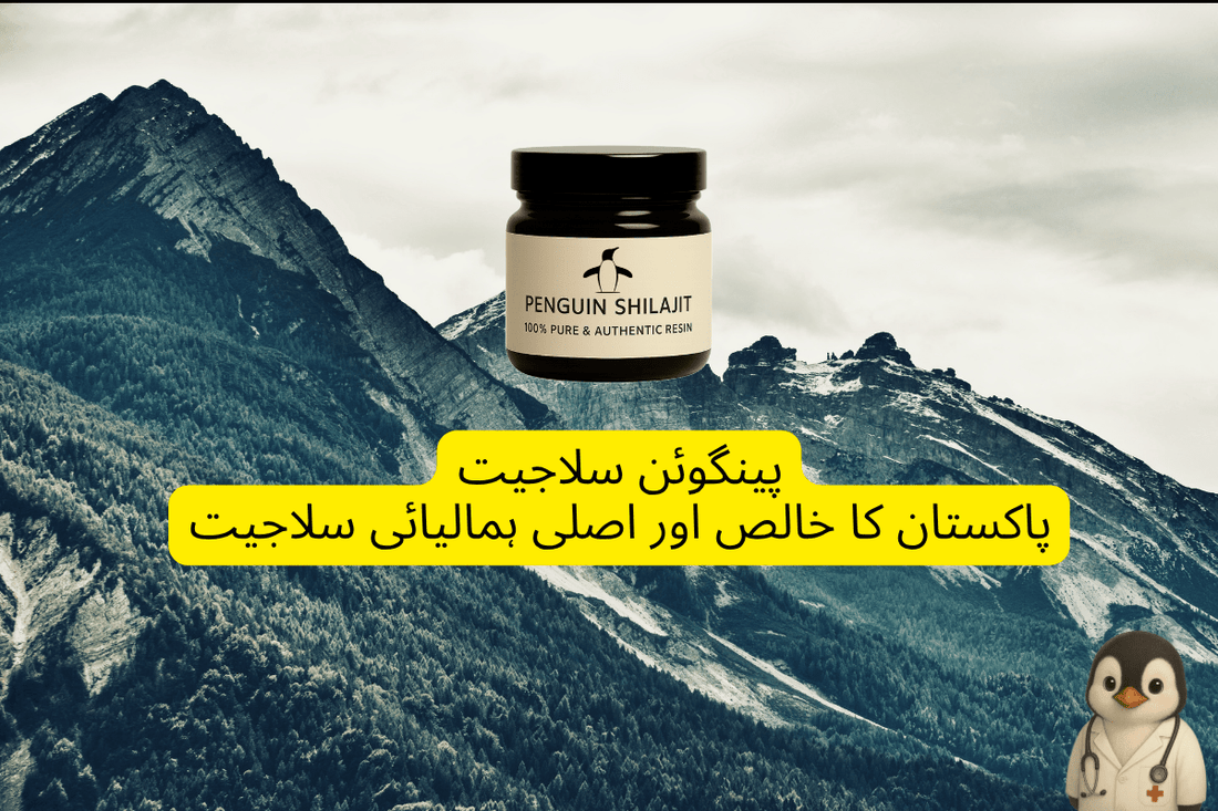 کیوں پینگوئن سلاجیت پاکستان کا بہترین سلاجیت (شلاجیت) برانڈ ہے (2025 جائزہ) - Penguin Shilajit