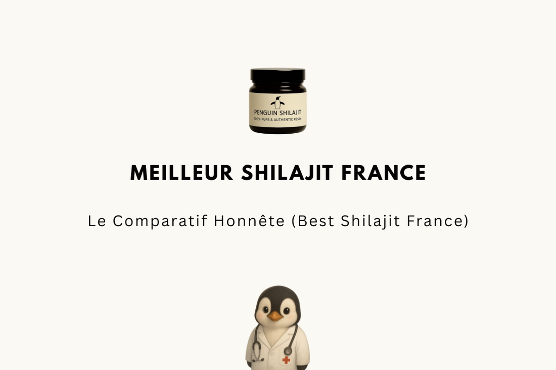 Meilleur Shilajit France 2026 — Le Comparatif Honnête (Best Shilajit France)