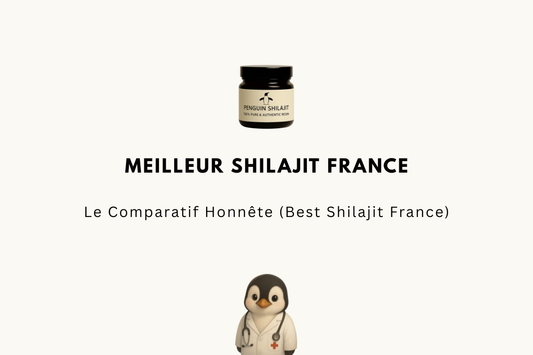 Meilleur Shilajit France 2026 — Le Comparatif Honnête (Best Shilajit France)