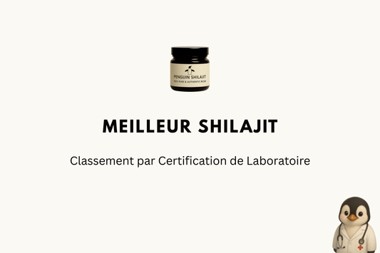 Meilleur Shilajit 2026 : Classement par Certification de Laboratoire