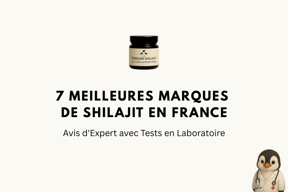 7 Meilleures Marques de Shilajit en France (2026): Avis d'Expert avec Tests en Laboratoire