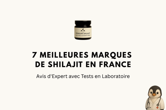 7 Meilleures Marques de Shilajit en France (2026): Avis d'Expert avec Tests en Laboratoire