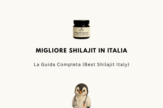 Migliore Shilajit in Italia 2026 — La Guida Completa (Best Shilajit Italy)