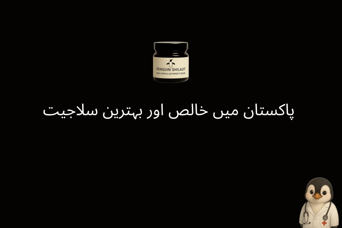 پاکستان میں خالص اور بہترین سلاجیت — مکمل خریدار گائیڈ (2026)