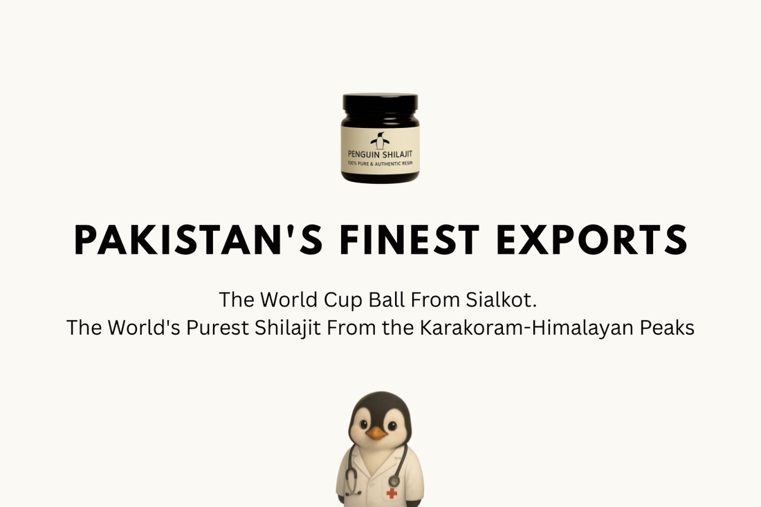 Pakistan's Finest Exports: The World Cup FootBall (Trionda) & World's Purest Shilajit