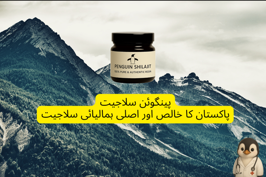 پینگوئن سلاجیت – پاکستان کا بہترین سلاجیت (شلاجیت) برانڈ