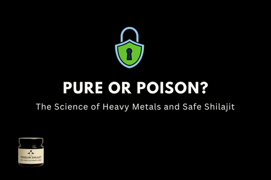 Pure or Poison? The Science of Heavy Metals and Safe Shilajit - Penguin Shilajit