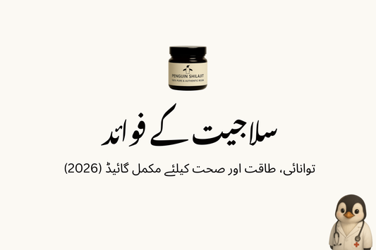 سلاجیت کے فوائد – توانائی، طاقت اور صحت کیلئے مکمل گائیڈ (2026)