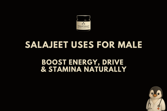 Salajeet Uses for Male: Boost Energy, Drive & Stamina Naturally - Penguin Shilajit