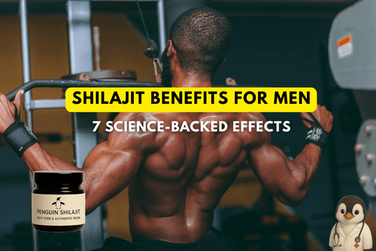 Shilajit Benefits for Men: 7 Science-Backed Effects (2025 Research) - Penguin Shilajit