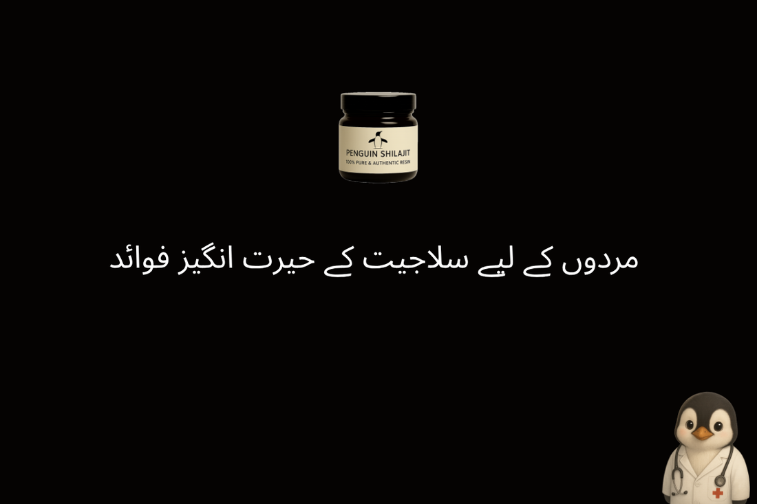 مردوں کے لیے سلاجیت کے حیرت انگیز فوائد - مکمل گائیڈ
