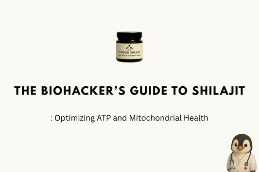 The Biohacker’s Guide to Shilajit: Optimizing ATP and Mitochondrial Health in 2026