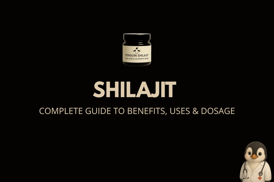 The Ultimate Guide to Shilajit: Everything You Need to Know