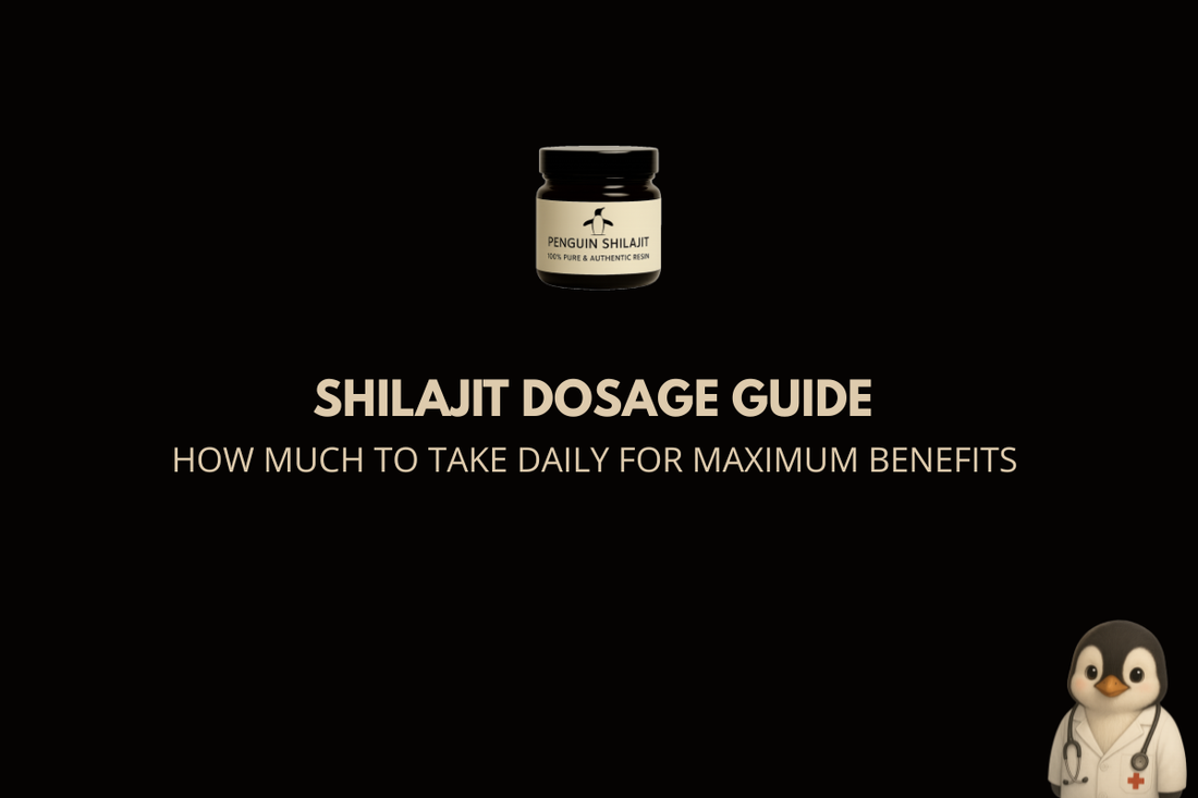 Shilajit Dosage Guide: How Much to Take Daily