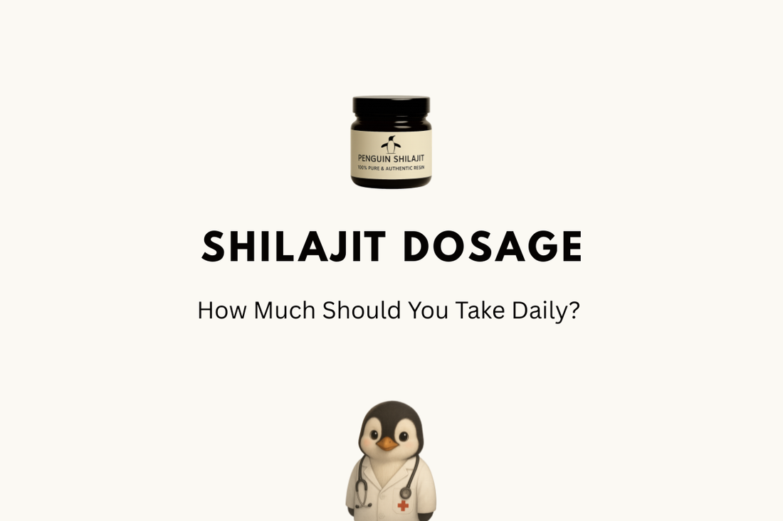 Shilajit Dosage: How Much Should You Take Daily?