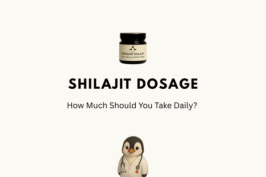 Shilajit Dosage: How Much Should You Take Daily?